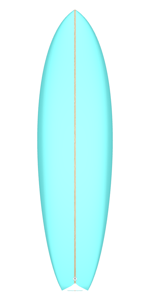 6_6 M fish